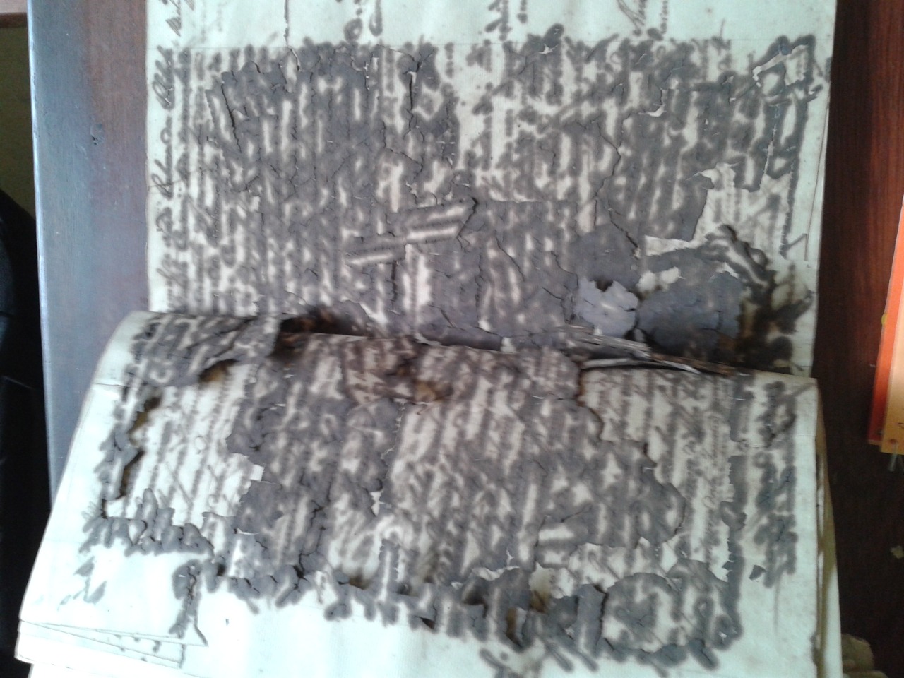 Rescuing Archives from Belém do Pará, Brazil.